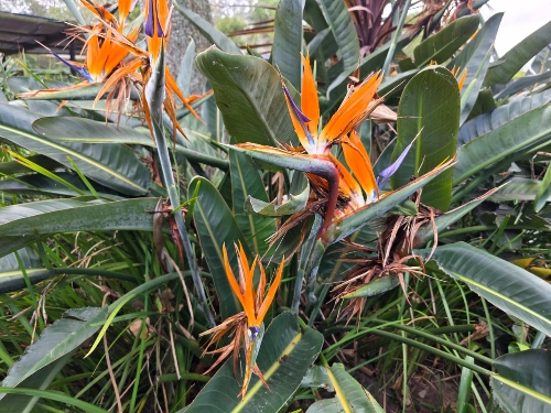 George,    707&nbsp;000 &euro;