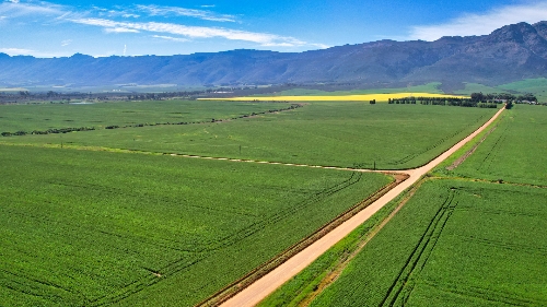 Tulbagh,   4&nbsp;950&nbsp;000 &euro;