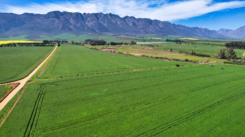 Tulbagh,   4&nbsp;950&nbsp;000 &euro;