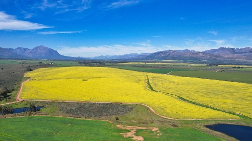 Tulbagh,   4&nbsp;950&nbsp;000 &euro;