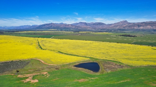 Tulbagh,   4&nbsp;950&nbsp;000 &euro;