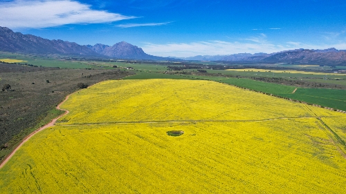 Tulbagh,   4&nbsp;950&nbsp;000 &euro;