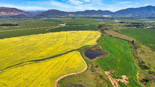 Tulbagh,   4&nbsp;950&nbsp;000 &euro;