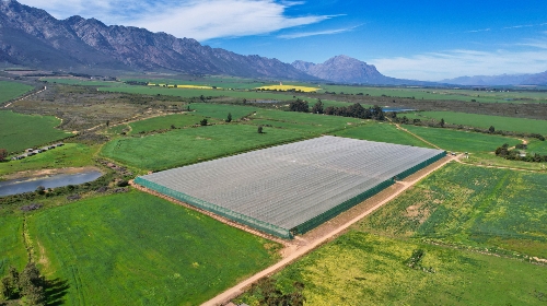 Tulbagh,   4&nbsp;950&nbsp;000 &euro;