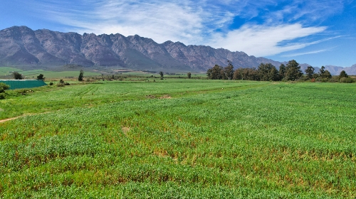 Tulbagh,   4&nbsp;950&nbsp;000 &euro;
