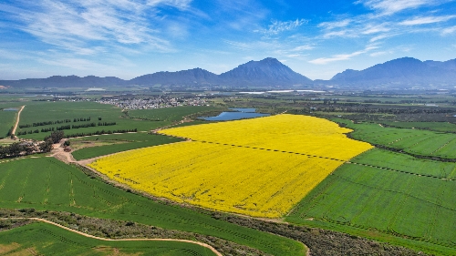Tulbagh,   4&nbsp;950&nbsp;000 &euro;