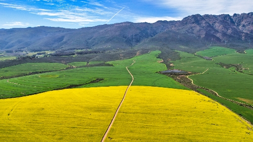 Tulbagh,   4&nbsp;950&nbsp;000 &euro;