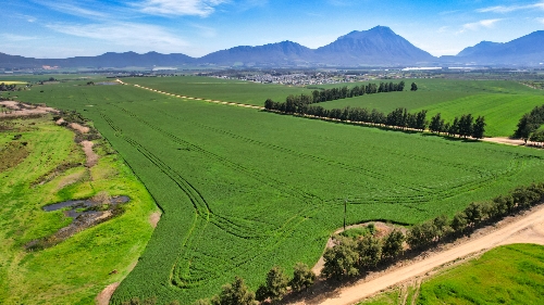 Tulbagh,   4&nbsp;950&nbsp;000 &euro;