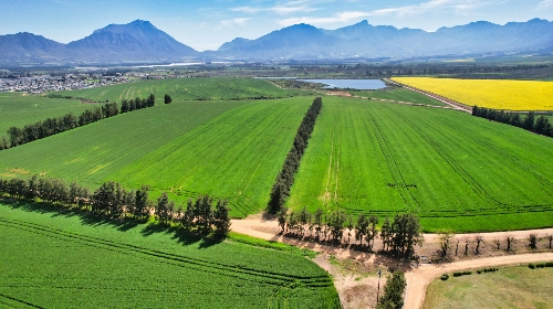 Tulbagh,   4&nbsp;950&nbsp;000 &euro;